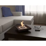 Биокамин Firelight BFP/T-2525 Cup